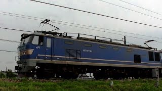 EF510-501牽引高速貨物3097ﾚ　岡山→新潟