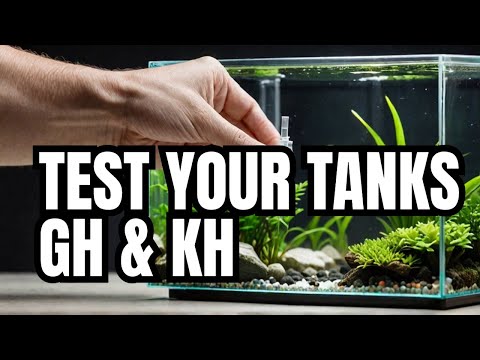 NT Labs Aquarium