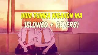 HUM TUMKA NIGAHON MA (SLOWED + REVERB) SONG