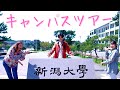 【新潟大学キャンパスツアー】春の五十嵐キャンパスをご案内します！ | 2022年版