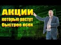 Как выбрать акции, которые растут быстрее всех. Параметр Бета