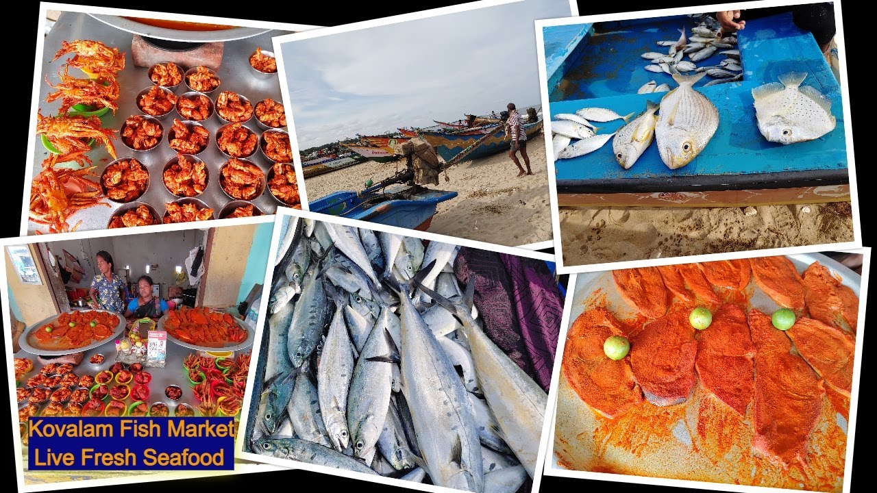 Kovalam Live Fish MarketA trip with XL6 chennai78 kovalam YouTube