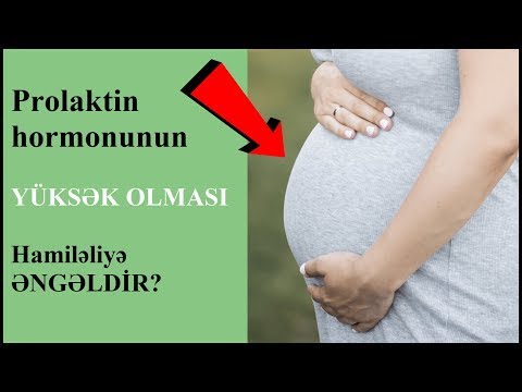 Video: İtlərdə Estrogenin Həddindən Artıq Istehsalı