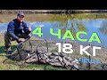 18 Как поймать 18 кг весеннего леща за 4 часа — секреты успешной рыбалки 🎣