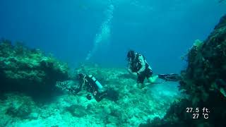 Florida Keys Diving