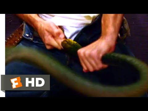 Copy Of Snakes On A Plane Hot Feet Scene Bathroom Scene Hd Youtube