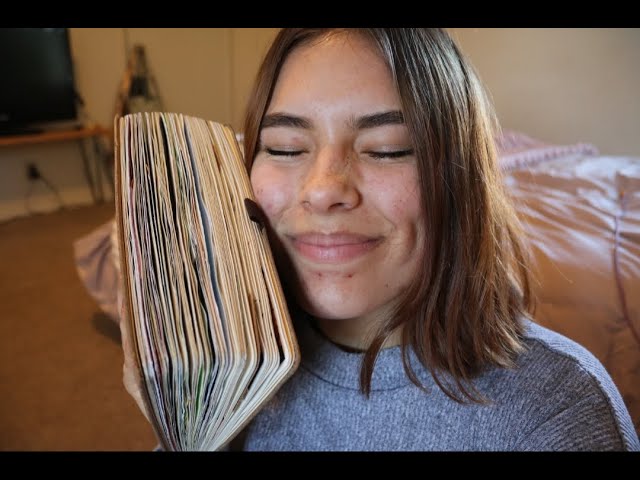 asmr 2019 bullet journal flip-thru *whispered*