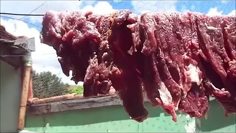 Como espantar moscas da carne de sol?