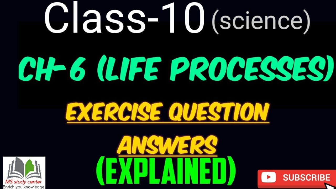 Life Processes Class 10 || Science Ch-6 || Question Answer || Life ...