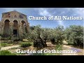 Garden of Gethsemane and Church of all Nations in Jerusalem | The Holy Land