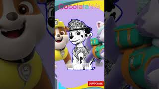 Match Your Marshall If You Can Paw Patrol Kids Challenge Cocolala Tv