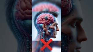 Best Edit For Muslim