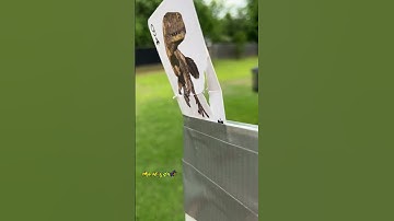 Freedomandfeathers - Splitting a playing card with an arrow