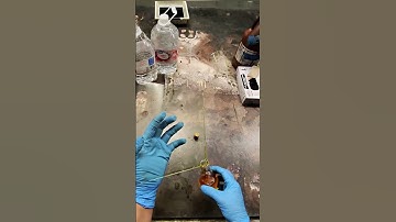 This ￼seems more like magic than a photographic process!! #filmphotography