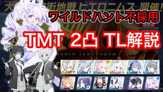 【ブルアカ】大決戦ヒエロニムス 神秘TMT 2凸TL解説(39,233,600)ワイルドハント不採用