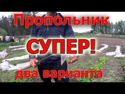 Видео: Прополка огорода: как прополоть огород