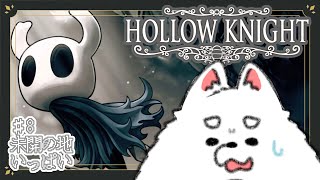 【Hollow Knight】大変！新天地見つけすぎちゃったかも！【初見プレイ】