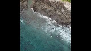 Ku rela dirimu bersama dia cover vanny vabiola official music