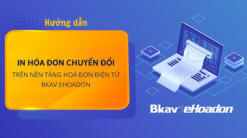 Hướng dẫn In hóa đơn chuyển đổi trên Nền tảng Hóa đơn điện tử Bkav eHoadon