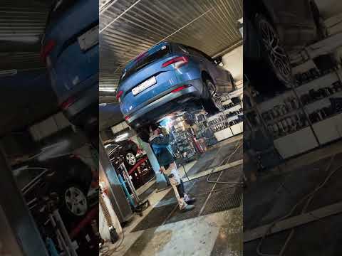 Редкие чёрные насадки для Skoda Karoq #shorts #skoda #karoq #vag #exaust #выхлоп #тюнинг