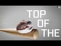 Twins vs. Royals Game Highlights (4/2/26) | MLB Highlights