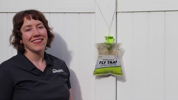 RESCUE! Fly Trap, How to Dispose of it and Hang a New Trap