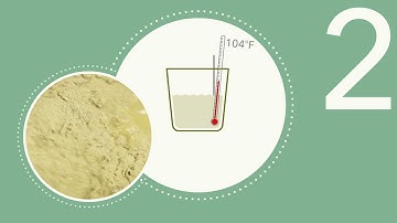 Scott Labs   Rehydration Protocol   Lallemand