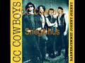 Sneglehus - CC Cowboys