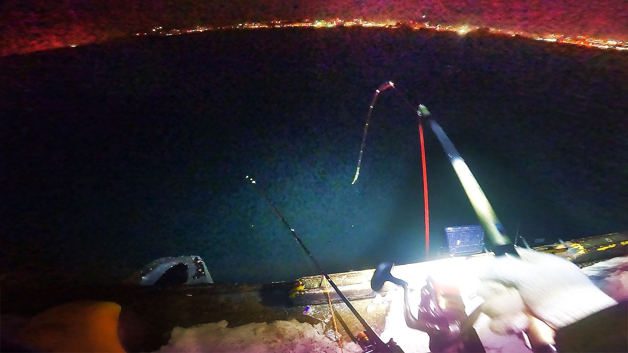 【北海道石狩湾・小樽釣り】岸壁のブースが増えてる!!　2026.2.15　北国の生活（小樽港厩町岸壁、夜釣り、自動シャクリ機、投光器、投げ釣り、サビキ釣り、びわ湖くんの話、びわさくら）