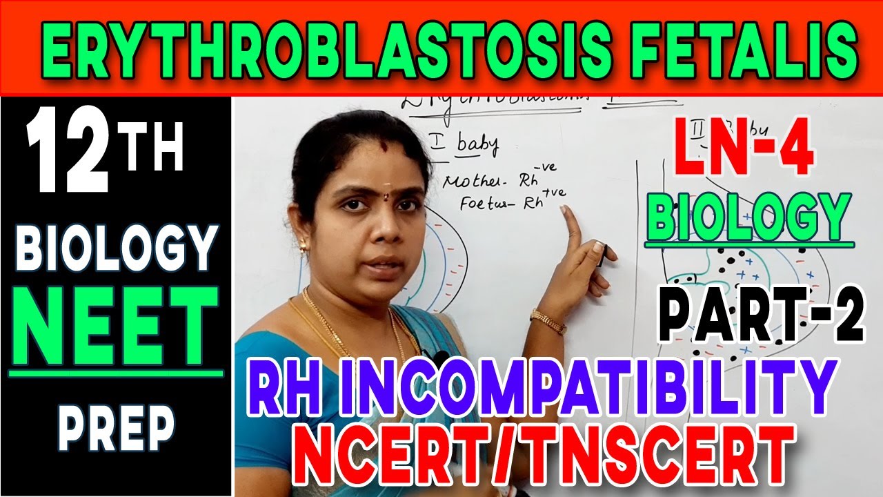 ERYTHROBLASTIS FETALIS|RH INCOMPATIBILITY IN TAMIL |DURGA VINOTH|BIOLOGY SIMPLIFIED|CBSE|TNSCERT