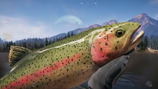 FAR CRY 5 BEST FISHING SPOTS FOR BIG FISH