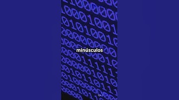 O que são Bits e Bytes?