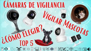 😻🐶 Las MEJORES Cámaras para VIGILAR Perros y Gatos 👀 [Vigilancia  Interior] [Háblale con tu cámara] 