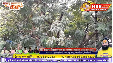 Live Stream with Your Mobile with 3D Scrolling Text and Logos, Multiple Languages