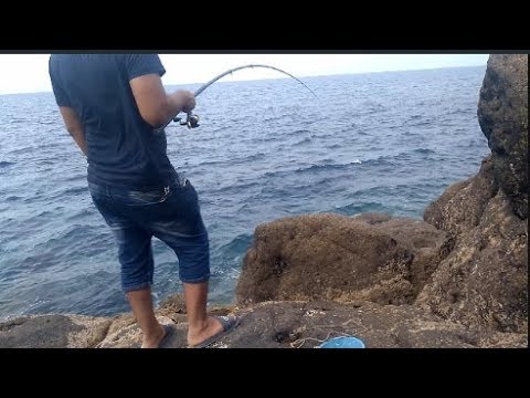 متعة صيد السمك بالقصبة fishing algerie - YouTube