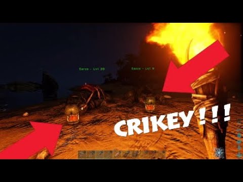 crikey!!!-ark-survival-evolved