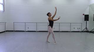 Dance Audition Guidelines 2024-2025