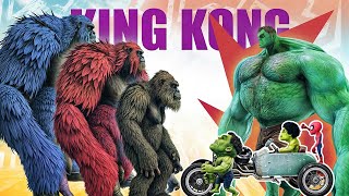Hulk Vs Monsters King Kong EP#95 | Hulk Fight with Monster size King Kong | 3D Animated Series