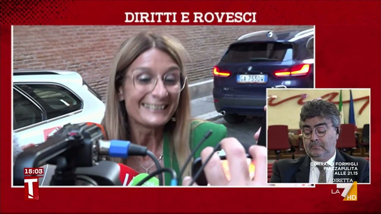 DDL Zan: chi sono i franchi 