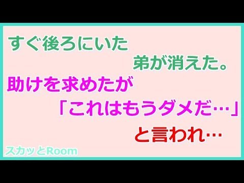 【スカッとする話】すぐ後ろにいた弟が消えた。助けを求めたが、「これはもうダメだ…」と言われ…（スカッとRoom）