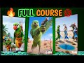 How to make ai VEDIO|Text to vedio ai free|How to make Vedio from ai|Ai course for beginners