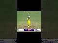 Sa vs Aus cricket highlights #cricket #shorts #fifa CWC23 #trend
