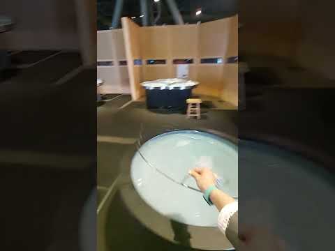Trying Spherical-Shaped Bubble