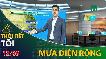 Thời tiết tối và đêm 12/09/2022: Tây Nguyên và Nam Bộ chiều tối mưa diện rộng | VTC14