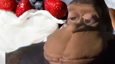 Monkey And The White Sauce (Yogo Yogurt YTP)
