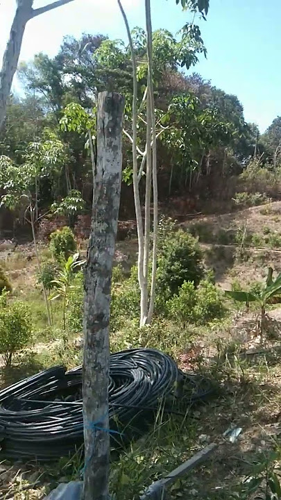 Download lagu April 18, 2024