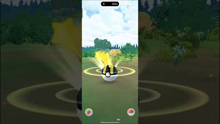 🥰CUTE bunny shiny ✨ #collection #rarepokemon #pokemon #pokemongo #tfgbotyt #viralshort #shinypokemon