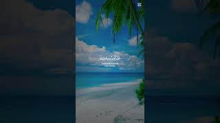 #please #subscribe #me #please #subscribe #please #please #
