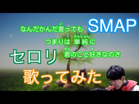 【元気が出るカラオケ】セロリ/SMAP 歌ってみた【村上の伝説】