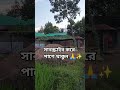 স্বপ্ন আছে ইউটিউবার হবো ✨ | Dream to Become a YouTuber #shorts #villagelife #agriculture #viral